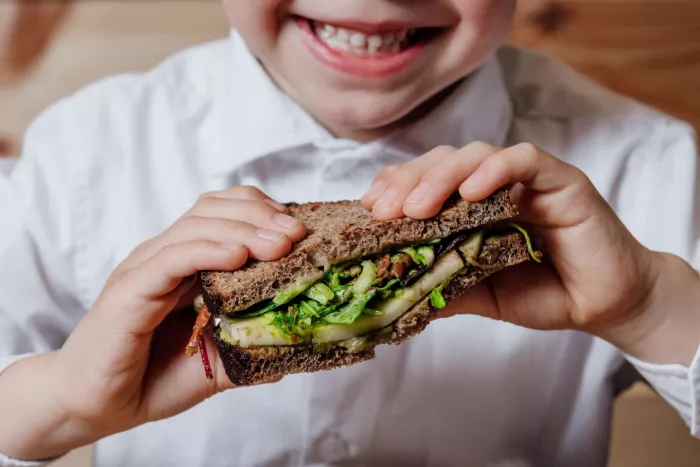 child with vegetarian sandwich with whole grain bread, cucumber, egg whites, radishes and pea shoots