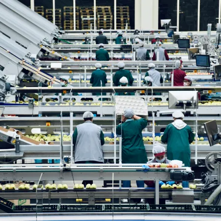 The interior of an apple processing facility