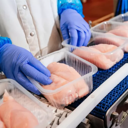 raw chicken in a processing plant