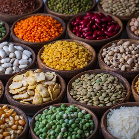 Assortment of beans, grains, and lentils